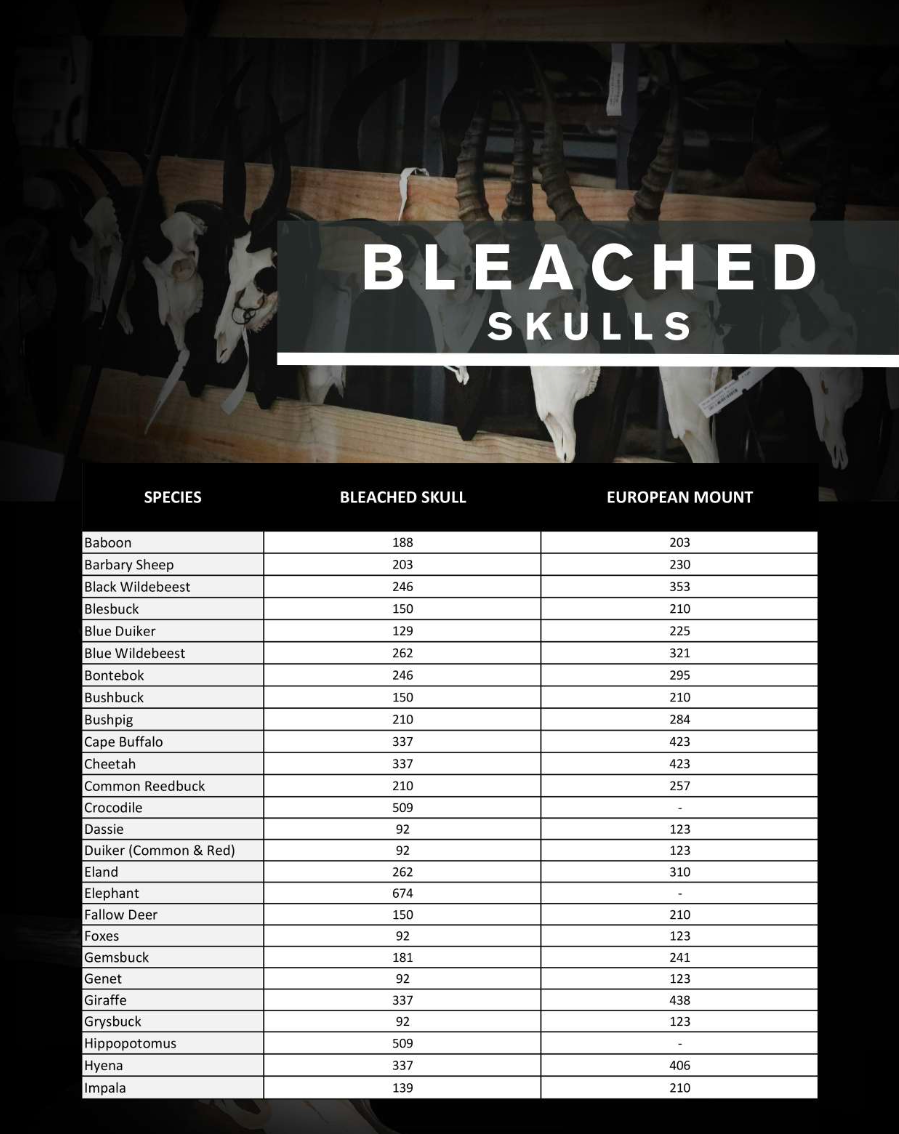 Bleached Skull Price List 1