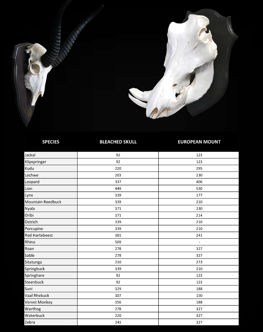 Bleached Skull Price List 2