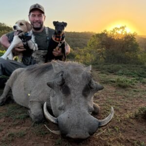 Warthog hunt